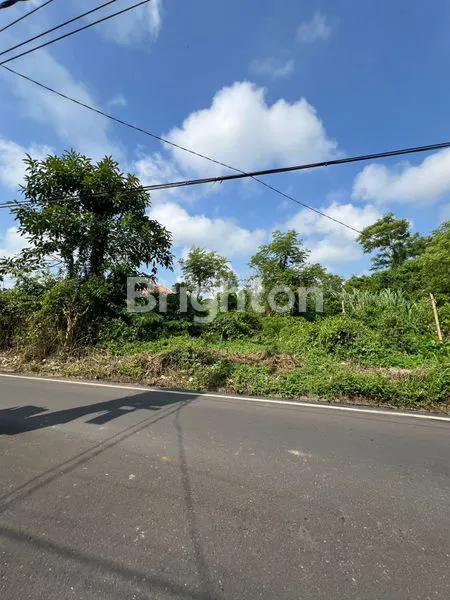 image TANAH LUAS 260M² DI KAMPIAL NUSA DUA, SHM (2)