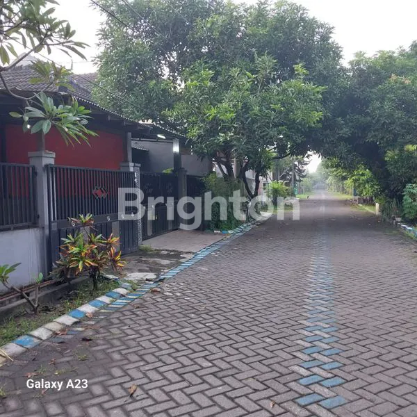 image RUMAH DAERAH ALOHA (1)