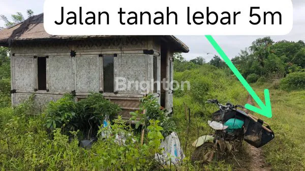 image LAHAN KOSONG KALIJATI BISA BUAT PETERNAKAN (1)