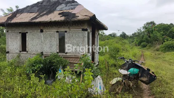 image LAHAN KOSONG KALIJATI BISA BUAT PETERNAKAN (2)