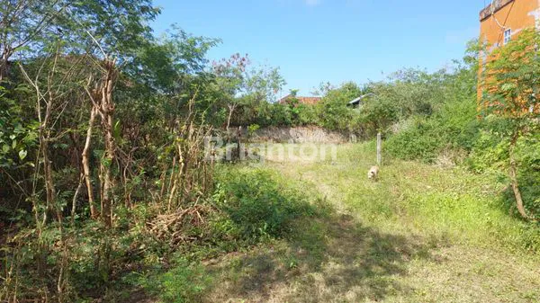 image TANAH LUAS DAERAH KUTUH COCOK UNTUK HOTEL ATAU VILLA MAUPUN KOS KOSAN (1)