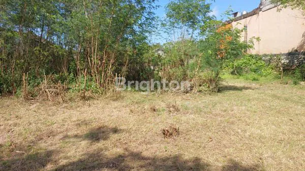 image TANAH LUAS DAERAH KUTUH COCOK UNTUK HOTEL ATAU VILLA MAUPUN KOS KOSAN (4)