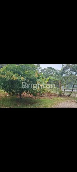 image TANAH HOOK 239M² DI CIBUBUR COUNTRY, HARGA NEGO (3)
