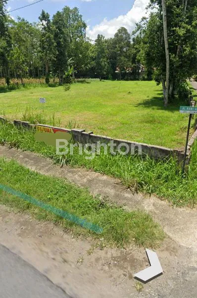 image TANAH LUAS 2.373M² DI JL. KAWI, SRENGAT (4)