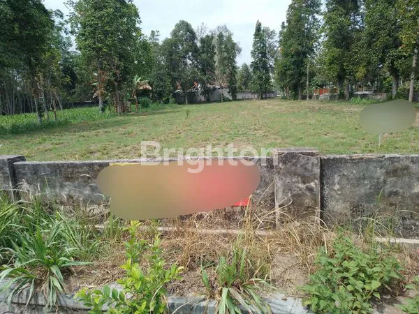 image TANAH LUAS 2.373M² DI JL. KAWI, SRENGAT (1)