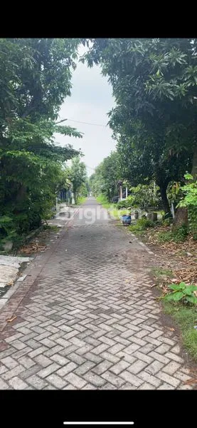 image TANAH DI WIGUNA, GUNUNG ANYAR (2)