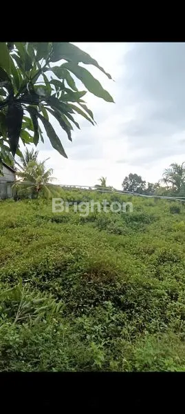 image TANAH SELUAS 2780M2 TEPI JALAN RAYA SELAKAU SINGKAWANG  (1)