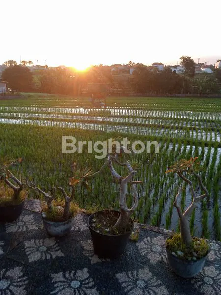 image VILLA MEWAH 7 KT DI CANGGU, SIAP HUNI & INVESTASI (8)