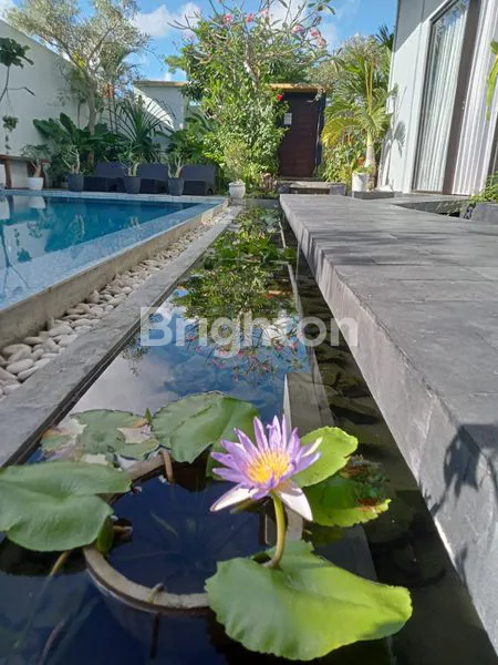 image VILLA MEWAH 7 KT DI CANGGU, SIAP HUNI & INVESTASI (4)