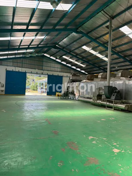 image DIJUAL ASET / MESIN EX PENGOLAHAN PORANG DI BLITAR (1)