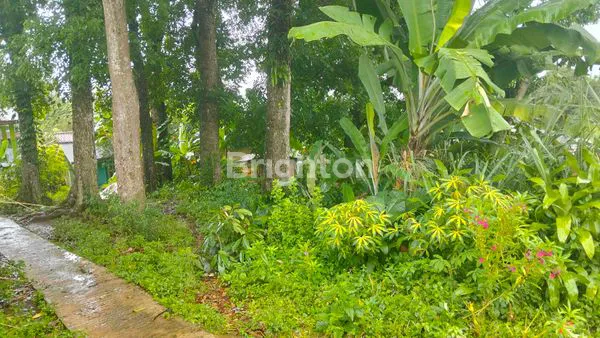 image TANAH SIAP HUNI ATAU UNTUK INDUSTRI HARGA MENARIK, LOKASI PARUNG KUDA, SUKABUMI (3)