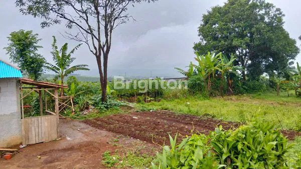 image TANAH SIAP HUNI ATAU UNTUK INDUSTRI HARGA MENARIK, LOKASI PARUNG KUDA, SUKABUMI (4)