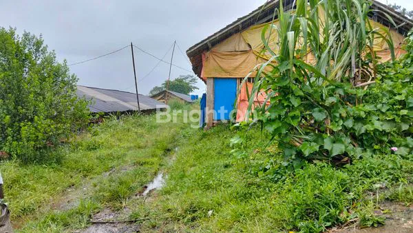 image TANAH SIAP HUNI ATAU UNTUK INDUSTRI HARGA MENARIK, LOKASI PARUNG KUDA, SUKABUMI (2)