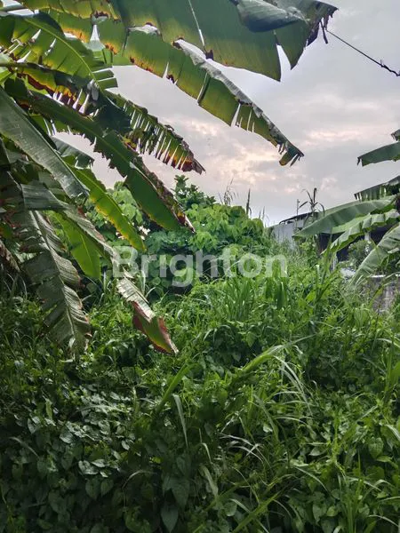 image TANAH PINGGIR JALAN KEROBOKAN COCOK UNTUK BANGUN RUMAH ATAUPUN KOSAN MINI (3)