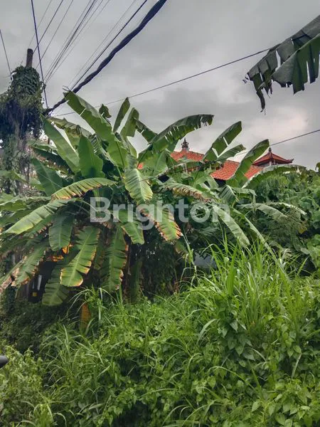image TANAH PINGGIR JALAN KEROBOKAN COCOK UNTUK BANGUN RUMAH ATAUPUN KOSAN MINI (1)