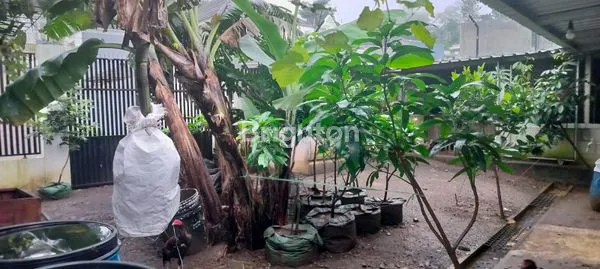 image RUMAH ASRI DEPAN TEMPAT WISATA DI TAWANGARGO KOTA MALANG (4)