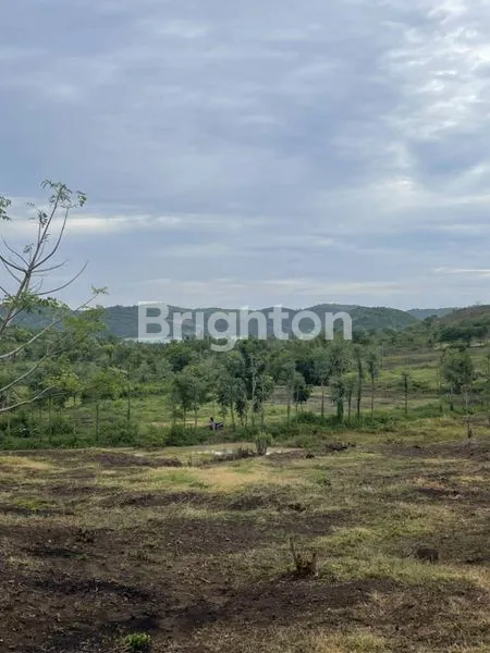 image DIJUAL TANAH + VIEW LAUT (4)