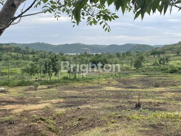 image DIJUAL TANAH + VIEW LAUT (5)