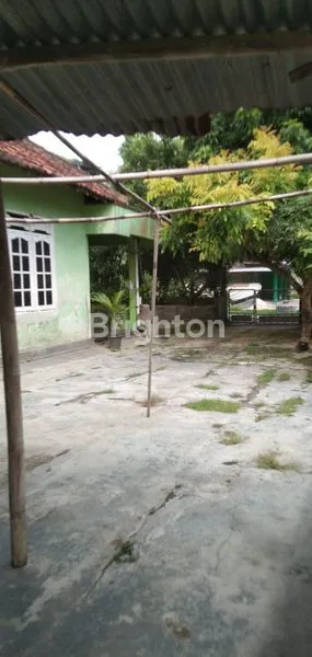 image RUMAH ASRI 3 KT DI SEWON, HALAMAN LUAS 375 M² (2)