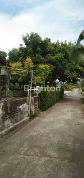 image RUMAH ASRI 3 KT DI SEWON, HALAMAN LUAS 375 M² (7)