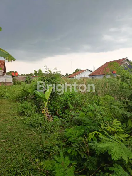 image TANAH PEKARANGAN TENGAH KOTA PALEMBAHAN KALONGAN PURWODADI (3)