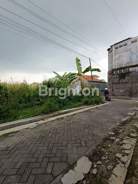 image TANAH PEKARANGAN TENGAH KOTA PALEMBAHAN KALONGAN PURWODADI (4)