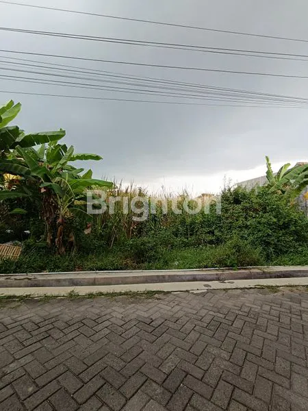 image TANAH PEKARANGAN TENGAH KOTA PALEMBAHAN KALONGAN PURWODADI (1)