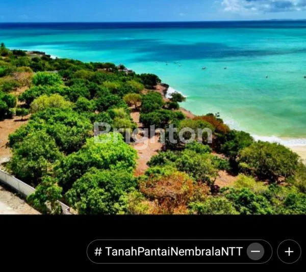 image TANAH 6.400 M² DI ROTE, PELUANG INVESTASI MENGUNTUNGKAN (4)