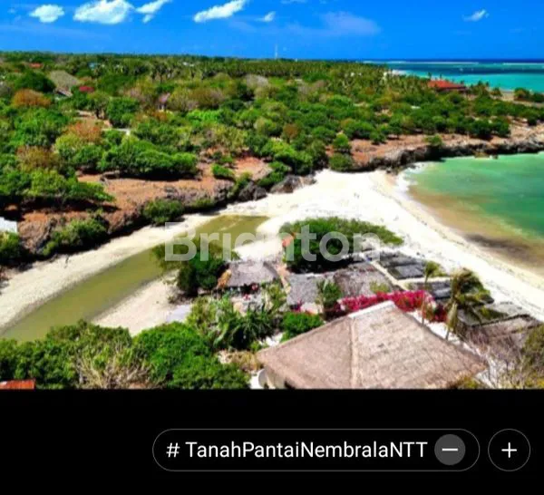 image TANAH 6.400 M² DI ROTE, PELUANG INVESTASI MENGUNTUNGKAN (3)