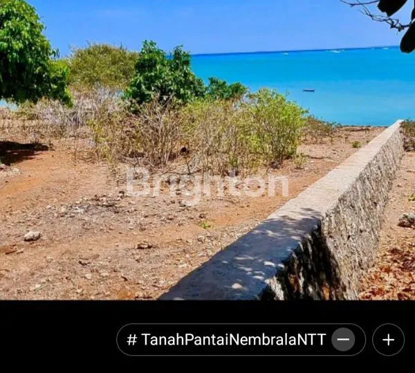 image TANAH 6.400 M² DI ROTE, PELUANG INVESTASI MENGUNTUNGKAN (5)