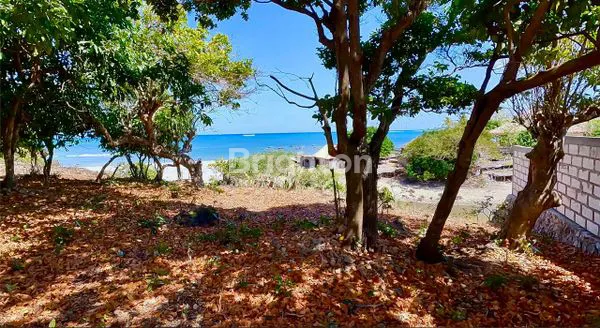 image TANAH 6.400 M² DI ROTE, PELUANG INVESTASI MENGUNTUNGKAN (8)