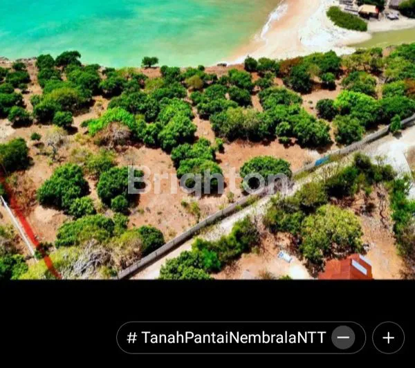 image TANAH 6.400 M² DI ROTE, PELUANG INVESTASI MENGUNTUNGKAN (2)