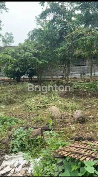 image TANAH STRATEGIS MAGETAN, DEKAT FASILITAS UMUM (3)