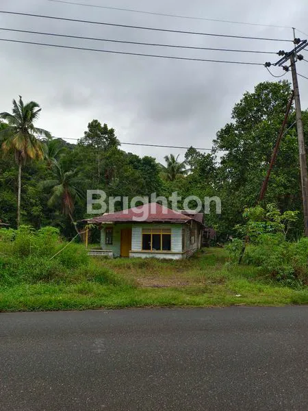 image TANAH KOSONG DI TEPI JALAN RAYA, BESERTA RUMAH (1)