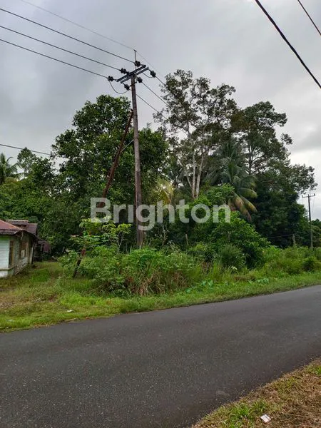 image TANAH KOSONG DI TEPI JALAN RAYA, BESERTA RUMAH (3)