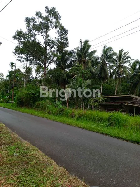 image TANAH KOSONG DI TEPI JALAN RAYA, BESERTA RUMAH (2)