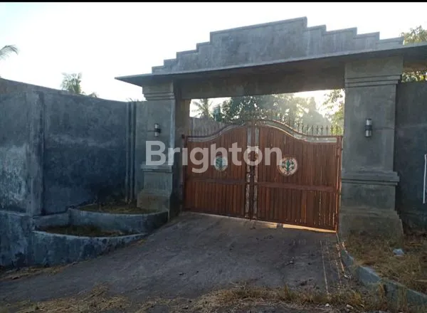 image PROPERTI BALI SIAP HUNI, SHM, LAHAN 2000M² (1)