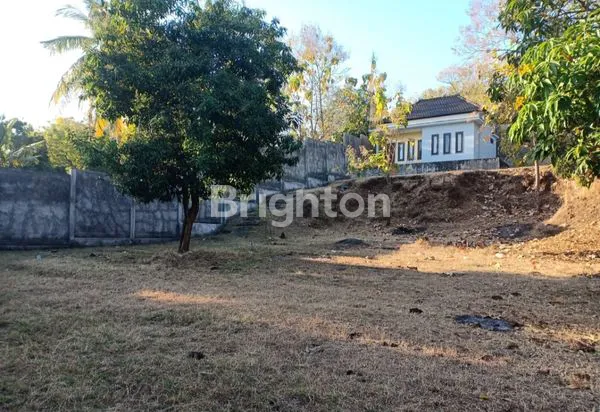 image PROPERTI BALI SIAP HUNI, SHM, LAHAN 2000M² (3)