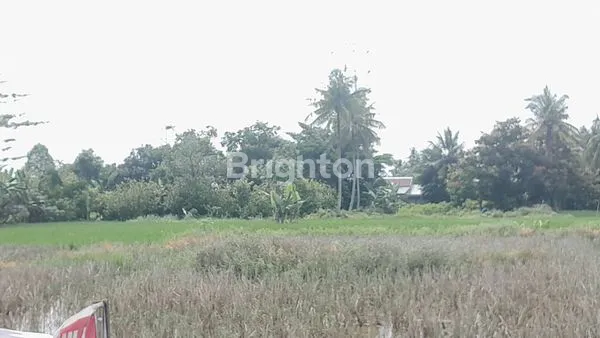 image INVESTASI TANAH 2 HA, DEKAT PERUMAHAN & FASILITAS UMUM (1)