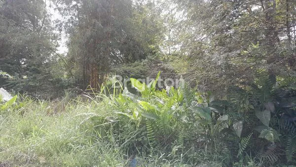 image INVESTASI TANAH 2 HA, DEKAT PERUMAHAN & FASILITAS UMUM (6)