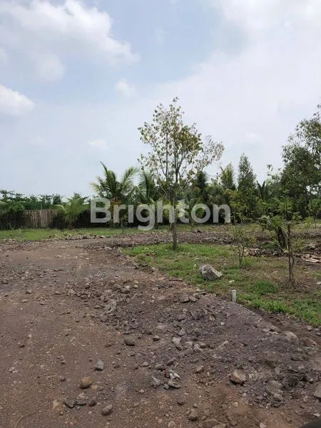 image TANAH STRATEGIS DI SIMBAR TAMPO – PALEMAN, BANYUWANGI \\\\\\\\UD83C\\\\\\\\UDF34 (2)