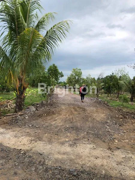 image TANAH STRATEGIS DI SIMBAR TAMPO – PALEMAN, BANYUWANGI \\\\\\\\UD83C\\\\\\\\UDF34 (4)