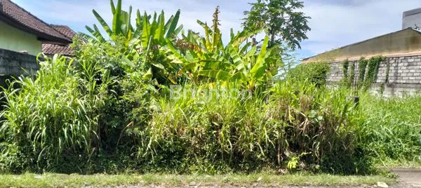 image TANAH DATAR 110M² DI YEH GANGGA, DEKAT TANAH LOT (4)