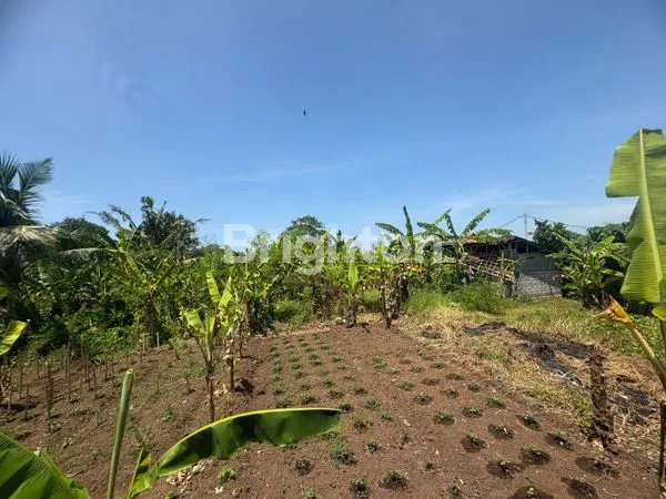 image 5,88 ARE TANAH VIEW LAUT DAN SAWAH DI DEKAT PANTAI YEH GANGGA TABANAN (1)