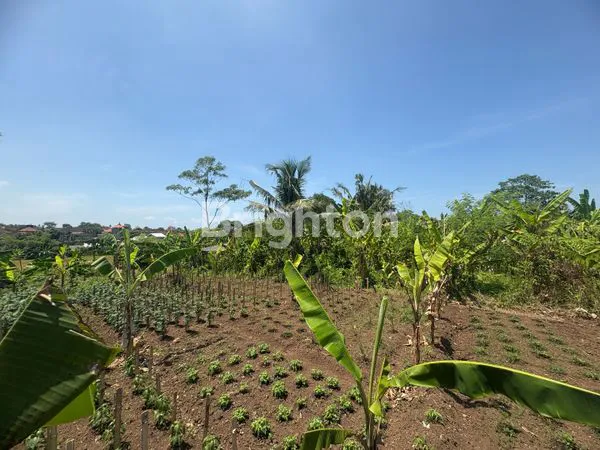 image 5,88 ARE TANAH VIEW LAUT DAN SAWAH DI DEKAT PANTAI YEH GANGGA TABANAN (3)