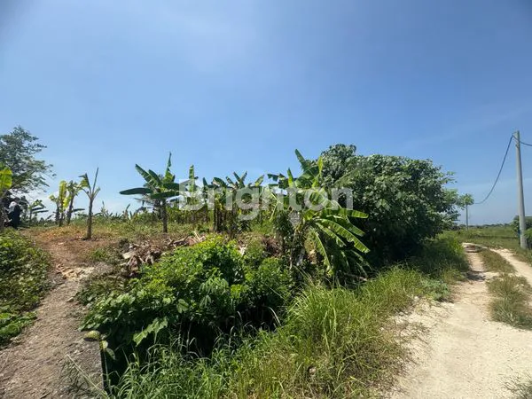 image 5,88 ARE TANAH VIEW LAUT DAN SAWAH DI DEKAT PANTAI YEH GANGGA TABANAN (4)