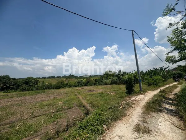 image 5,88 ARE TANAH VIEW LAUT DAN SAWAH DI DEKAT PANTAI YEH GANGGA TABANAN (5)
