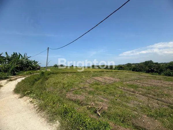 image 5,88 ARE TANAH VIEW LAUT DAN SAWAH DI DEKAT PANTAI YEH GANGGA TABANAN (6)