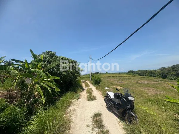 image 5,88 ARE TANAH VIEW LAUT DAN SAWAH DI DEKAT PANTAI YEH GANGGA TABANAN (7)