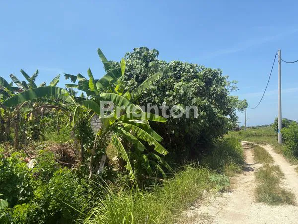 image 5,88 ARE TANAH VIEW LAUT DAN SAWAH DI DEKAT PANTAI YEH GANGGA TABANAN (8)